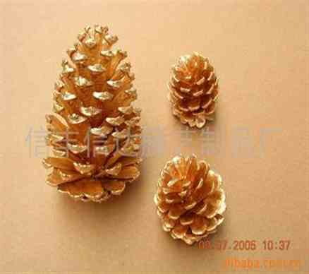 6727黄色母 6727黄色母